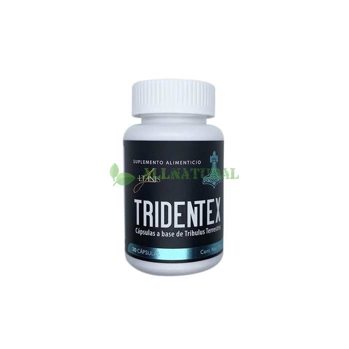 Tridentex