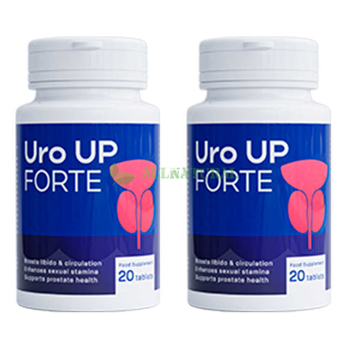 Uro Up Forte 🔺 producto para la salud de la próstata En Mexico